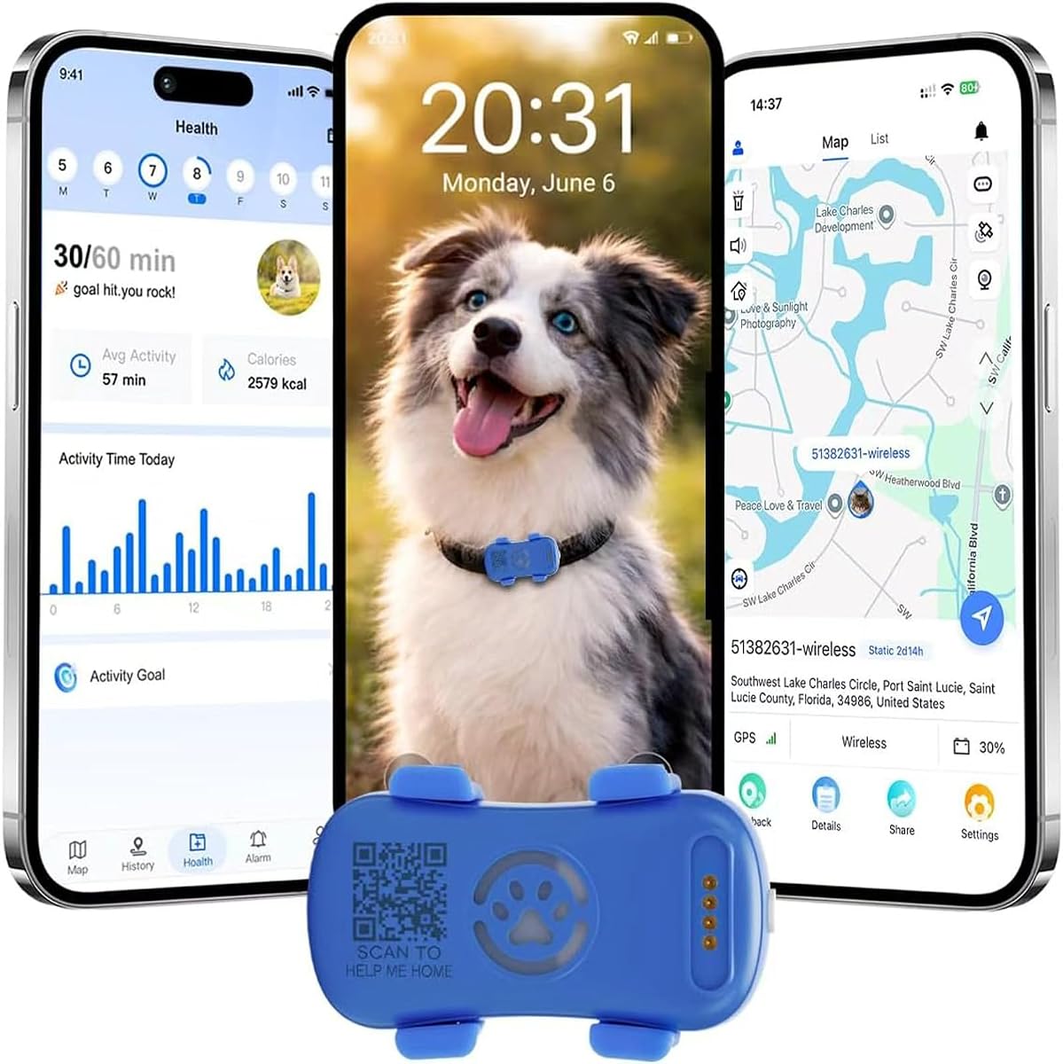 Ver especificaciones técnicas y precio actualizado de Collar Gato GPS Perro, Collar GPS para Perros con Seguimiento Satelital 4G Fotografía técnica oficial de Collar Gato GPS Perro, Collar GPS para Perros con Seguimiento Satelital 4G - Vista frontal con fondo blanco